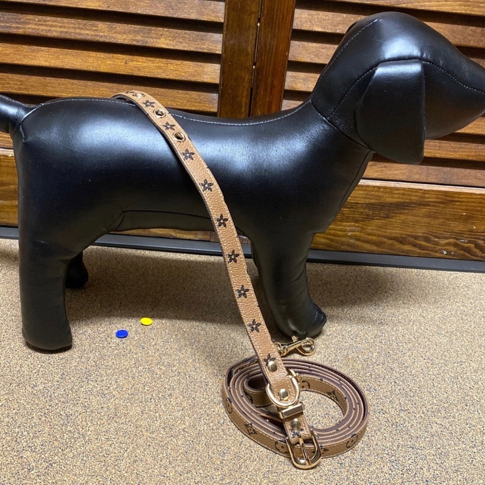 Dog Collar Leash Set